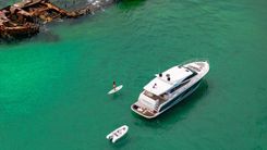 the best price on MAGNUM 2016