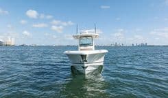 Купить Boston Whaler 330 Outrage 33