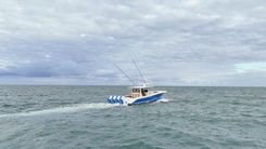 2023 HCB 53 Suenos - HCB price