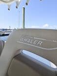 Boston Whaler Outrage 2017