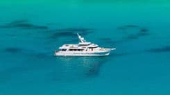 Лучшая цена на SERENITY