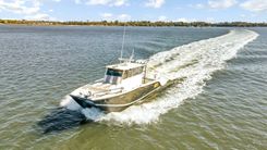 the best price on Hollow Point Nerowalker 35 Aluminum Catamaran