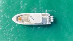 the best price on RIKI TIKI 2022