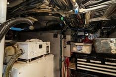 Купить No Name 54