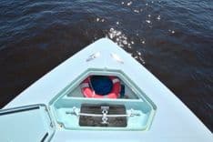 Game Hunter - SEA VEE