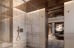 Купить Project S-Force