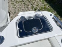 2025 Everglades 315CC - Everglades