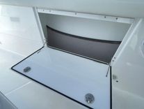 Лучшая цена на 2024 Everglades 395 cc