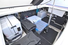 Elena Trinidad price