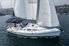 Купить Saba Rock'N - HUNTER