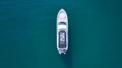 the best price on DOLLY 800