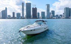 Продажа яхты Sea Ray 380 Sundancer