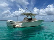 Купить No Name - SCOUT BOATS