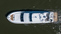 Octopi - Lazzara price