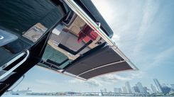 Лучшая цена на Freedom 38