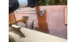 Лучшие предложения покупки яхты 1990 Golden Era Petrel