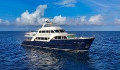 Купить яхту TOP TIMES в Shestakov Yacht Sales
