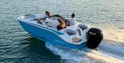 Bayliner M17 M17 price