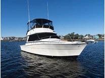 Saltwater Gospel - VIKING