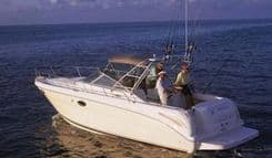Sea Ray 290 Amberjack - SEA RAY
