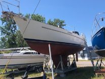 Big Surprise - HINTERHOELLER