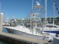 No Name - SHEARWATER price