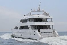 Купить White Lotus VIII 2011