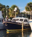 DOG'S LIFE - LINSSEN