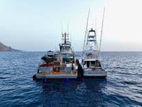 BAD COMPANY SUPPORT yacht sale