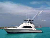 CONQUISTADORA - Bertram Yacht