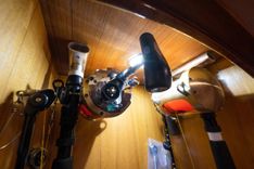 Купить Defiance - VIKING