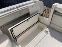 290 Walkaround - STRIPER price