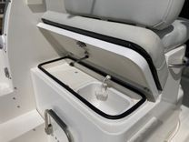 Buy a 290 Walkaround - STRIPER at Shestakov Yacht Sales