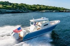 STARGAZER - Hinckley