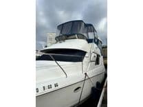 Dances with Waves - Silverton