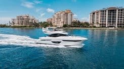 CHAMELEON II - PRINCESS