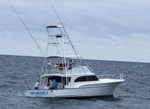 LOW BIDDER X - SUNNY BRIGGS