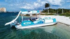 Aloha Paradise - ALOHA