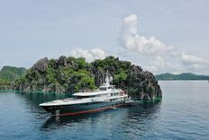 GENE MACHINE - Amels