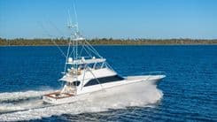 FIRST BITE - VIKING price