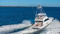 the best price on FIRST BITE - VIKING