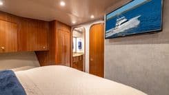 FIRST BITE 2005 price