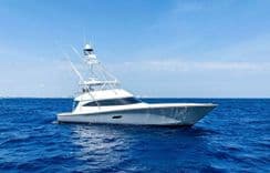 Rachel Anne - VIKING