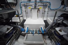 Купить INCORRIGIBLE - Marlow