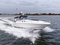 Pair-a-Dice - SEA RAY