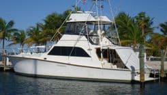 best yacht sales deals Lolly