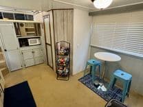 Dragonfly Chaser - GIBSON