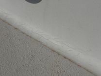 Лучшая цена на Southern Cross 28