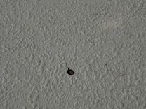 Стоимость яхты Southern Cross 1994