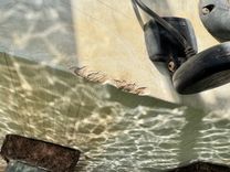 Лучшая цена на Southern Cross - Chaparral